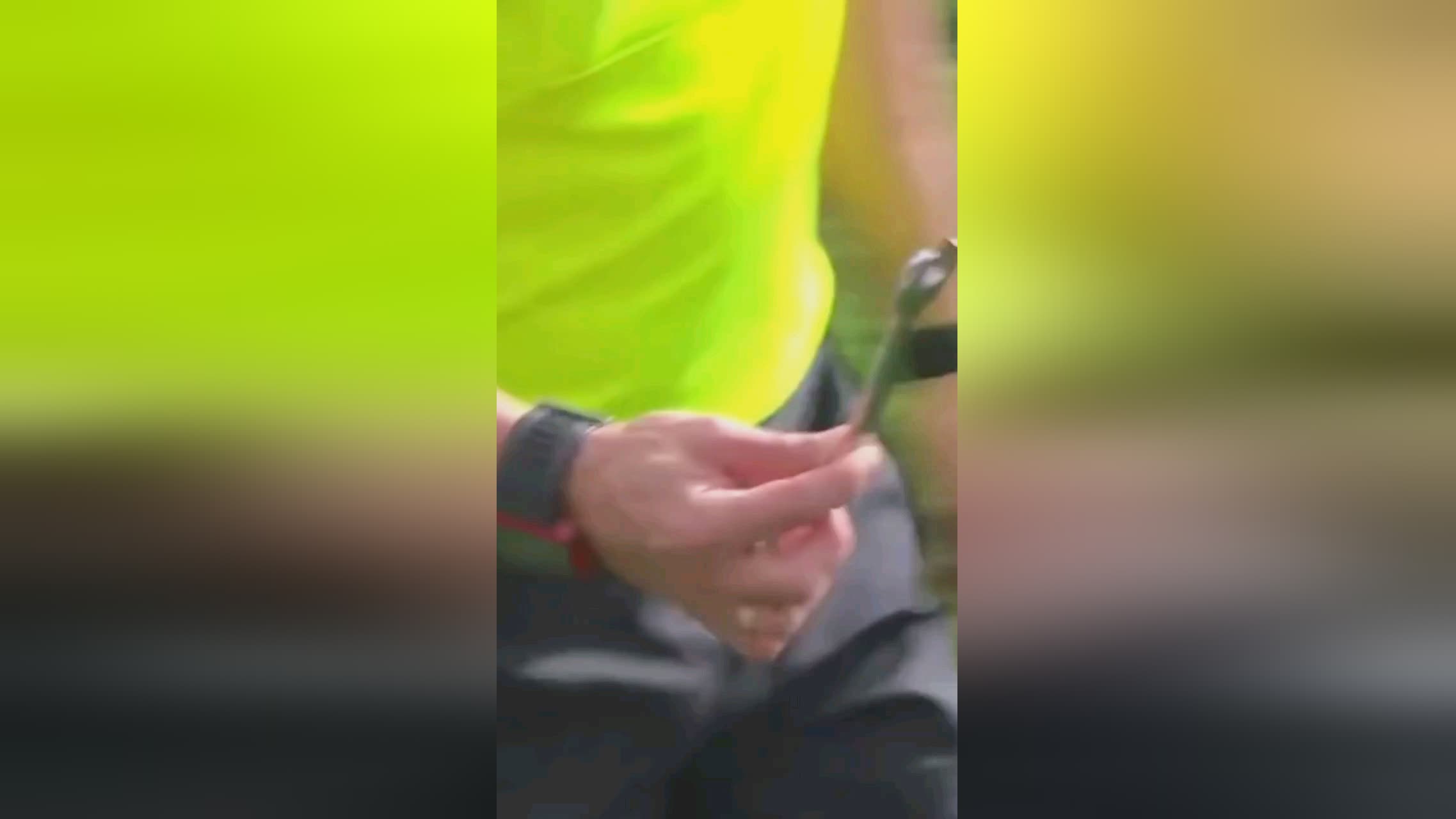的看法